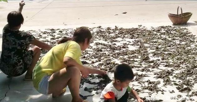 宝贝|这种菜,很多人都只吃种子,其实叶子才是宝贝,很多人想买买不到