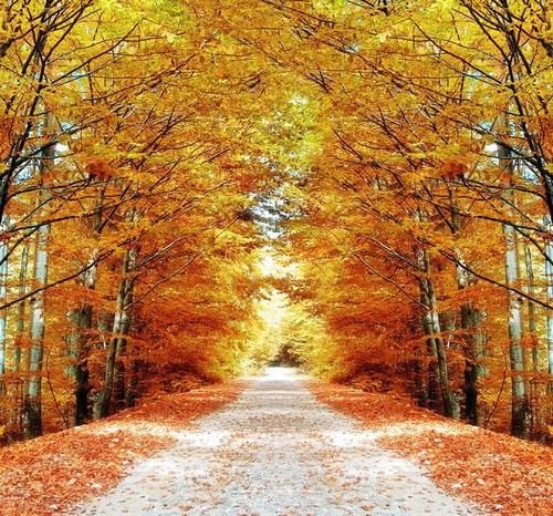 本草纲目|入秋后，这7种水果宜多吃，润肺滋阴，帮助你顺利安康度过秋天