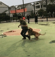 |搞笑GIF趣图姑娘,为了考驾照,你是费尽了心思啊!