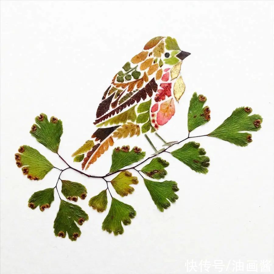 植物$她画画的材料是花瓣,工具是把刀,直接用刀刻出画