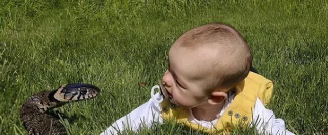 记住|我们记住了屈原,也难忘他背后的官场权斗