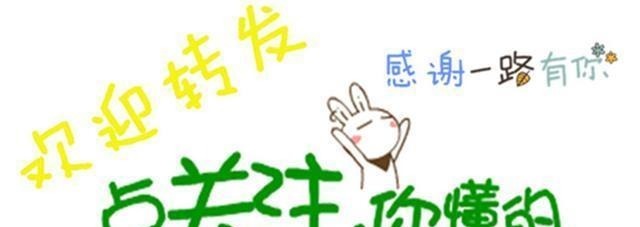 罗绮|古言他在后殿撕碎她一身罗绮“不经朕的允许,你不能怀有子嗣”