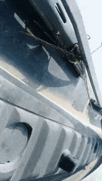 |搞笑GIF:一天卖多少钱无所谓,主要是气质不能输!