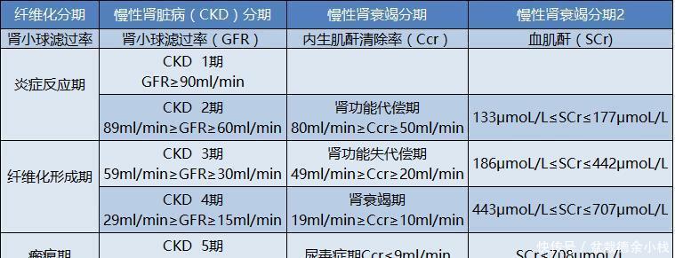  血肌酐|判断肾病轻重，别再被肌酐“支配”！有一项重要指标很多人漏了