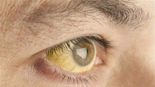 肝脏|每天坚持吃一个鸡蛋,对肝有什么影响,不妨了解下