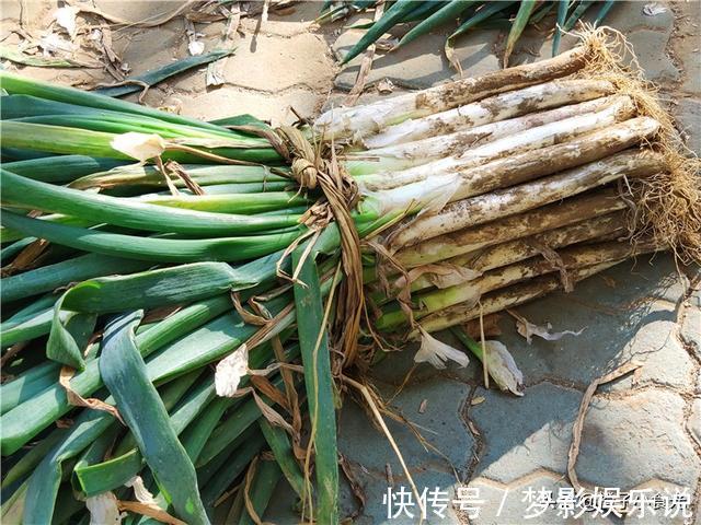 保存大葱挺简单,不干瘪不空心,囤20斤吃一冬,随吃随取很方便
