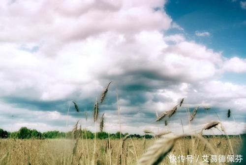 曾国藩一个家庭,一定要牢记这八点,方能走向发达,长盛不衰!