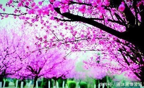 这七个成语至少难倒十亿中国人,你也试试看包不包括你