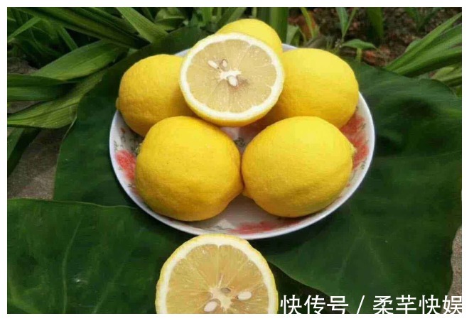 柠檬时|买柠檬时，黄色的和青色的该怎么选，到底哪个好挑错难吃没营养
