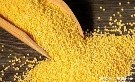 小米和此物一起煮,每天一碗,排出毒素,胃也暖了,早食早受益