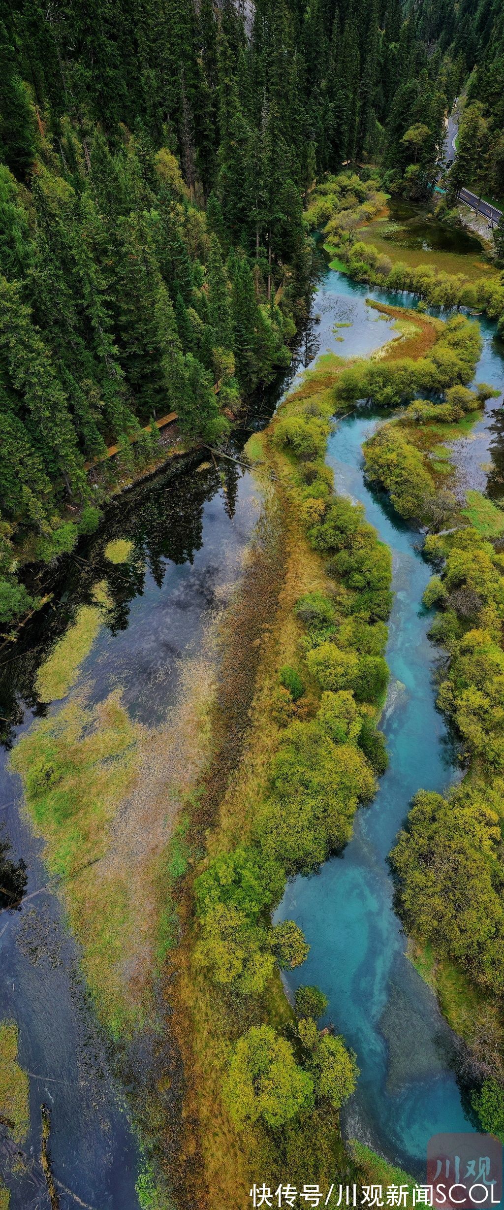 打卡|九寨沟景区全面归来，来跟川观新闻打卡大熊猫最迷恋的熊猫海