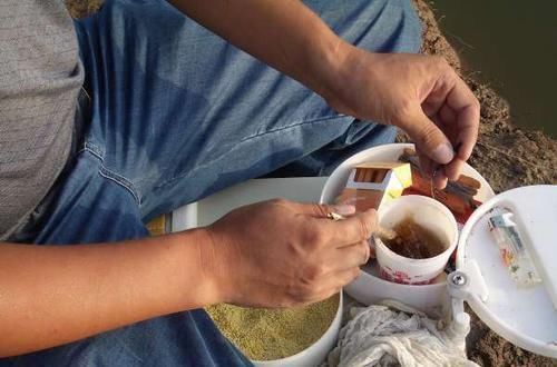 老师傅告诉我用“麦芽糖粘小米钓法”，野钓的鱼获就是不一样