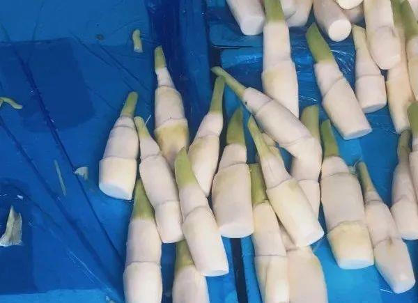 人参|它是”水中人参“,通大便、降血压、稳血糖,一定多买不吃太亏