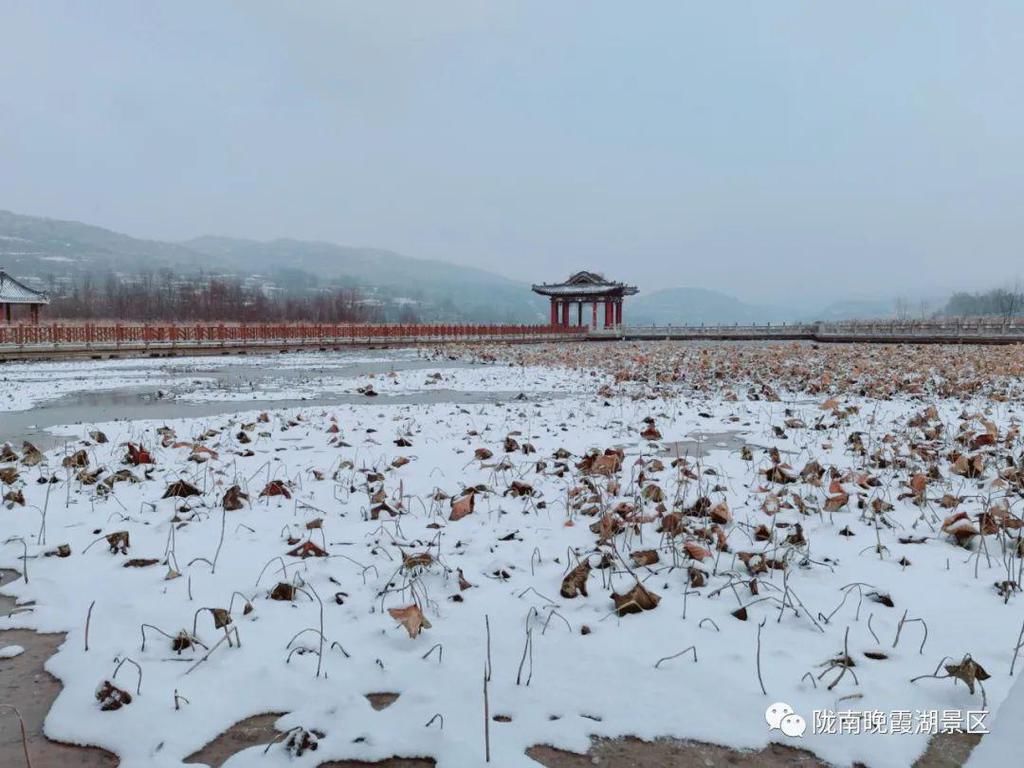 西和|雪后的西和晚霞湖，像是误入仙境一般......