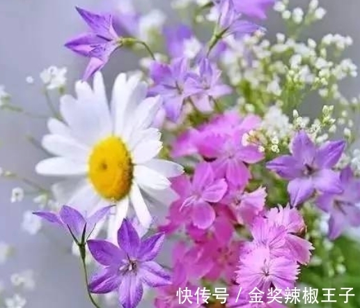 懦弱|近期,4个星座,柔软却不卑微,善良却不懦弱,活得开心舒心顺心