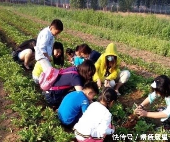 妈妈|把妹妹托付给乡下的姥姥,把哥哥给乡下奶奶,几天后,妈妈笑喷了