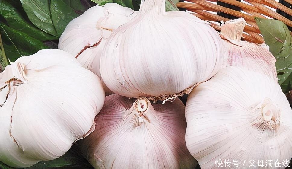 孩子|孩子想要变聪明,3种食物多吃点,营养丰富,健脑益智,不妨一试