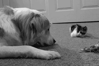 |幽默笑话:表哥相亲,没有看上女方,就对女孩的爸爸说:叔叔……