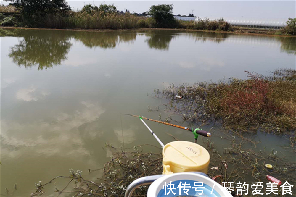 晚秋钓鲫鱼,找到鱼窝的3个步骤,按照步骤来,成功几率十之八九