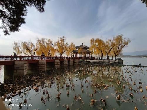 实拍|红米Note9 Pro一亿像素实拍，这真是一千多元的手机？