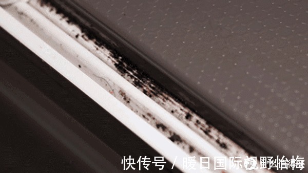 家居|8个“因为好看”入手的家居小用品,没成想,被实用性征服了