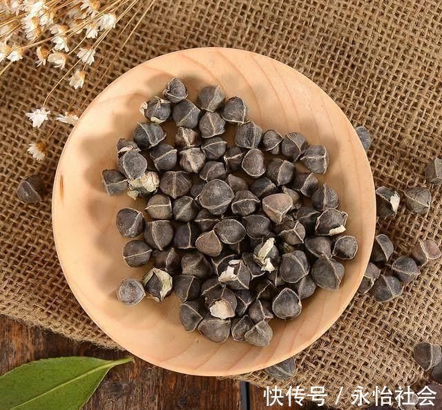 野果|农村一野果是失眠的“克星”, 晚上喝水泡几粒, 一觉睡到自然醒