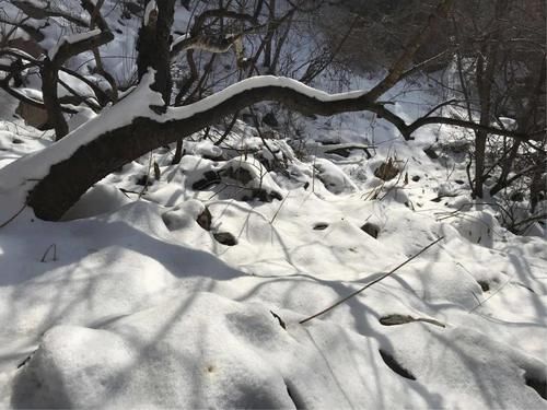 在线|临猗在线粉丝们又征服了一座雪山～汤王山之颠