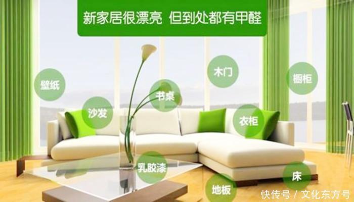 绿植|急以入住新房最快最有效的除甲醛方法有哪些