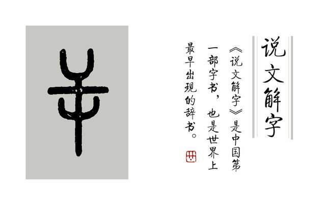  写错|《说文解字》第369课：“只”字的繁体，你很可能写错了