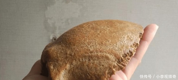 脑壳|脑壳发凉,这玩意儿也是文玩吗