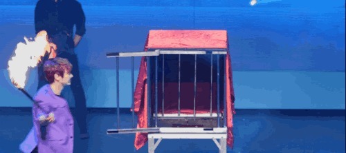 |搞笑GIF段子:丰田车真的好,宁愿自己受伤也不去伤害别人