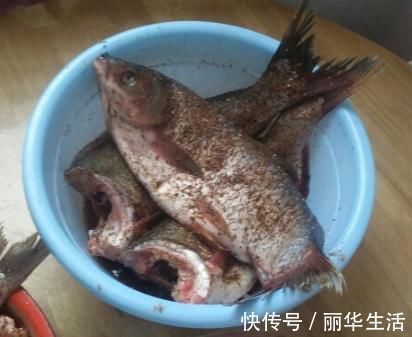 腌腊鱼时，掌握“4要点”，腊鱼鲜香入味，久放不坏，越放越香！