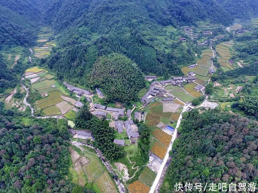 湘西这个宝藏乡村藏不住啦！这片“世外桃源”不可错过