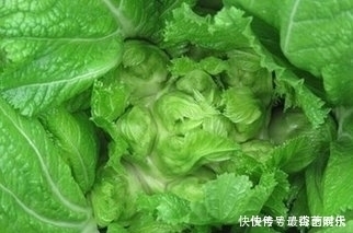 腸胃不好，不妨多吃此菜，養(yǎng)胃護(hù)胃，提高免疫力，很多人不清楚