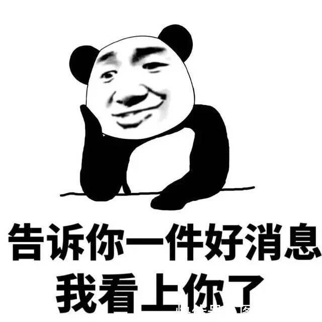 |十条段子:再也不跟文化人散步了