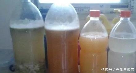 施肥|家里养吊兰懒人不施肥，做到这3步，照样垂藤，爆盆！
