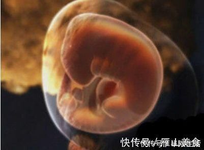 宝宝|怀孕前3个月,胎宝宝都在干什么?原来着床后这么忙,孕妈要了解