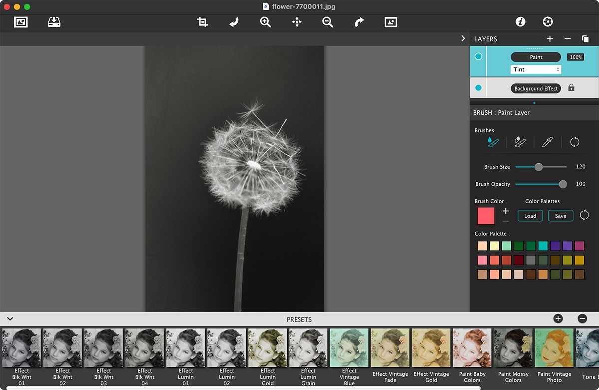 JixiPix Hand Tint Pro for Mac v1.0.19 图片调色修图-下载否