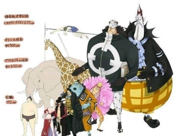 路飞|《海贼王》身高排行,自从看了海贼,楼都不觉得高了