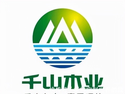 千年舟|生态环保板材十大品牌是哪几家?为你来揭秘