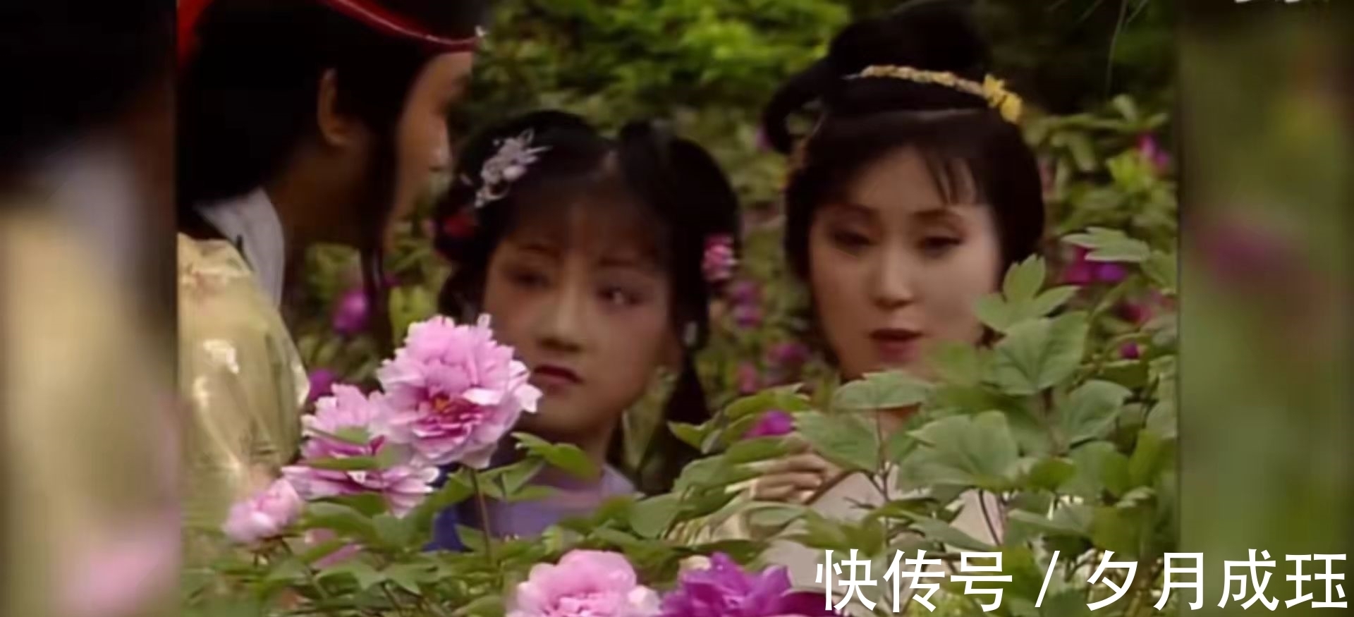 芍药!没有对比就没有伤害,一个简单的睡姿,看两版《红楼梦》的差距