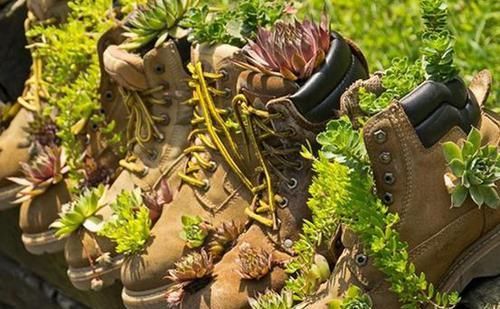 将这些“资源”变成养花利器，有趣又实用！你学会变通了吗？