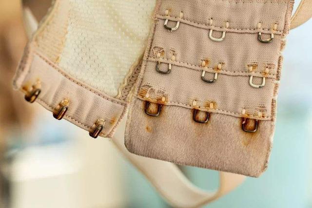 穿旧的内衣不用扔，后面的小排扣留好了，还有大用处