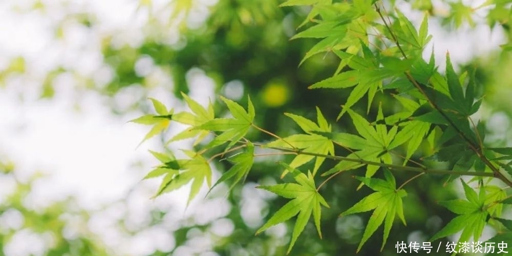 眼界,才是你一生最大的财富;精致,才是一个人最好的修养