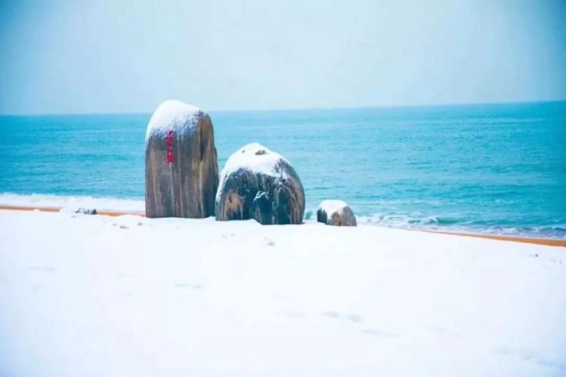 日照|下雪了！日照这些地方的雪景简直美得不像话