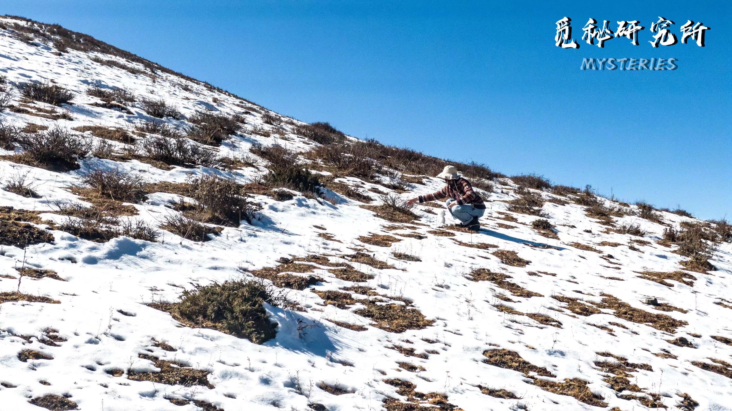 川西自驾之旅，航拍视角游雪山（上）