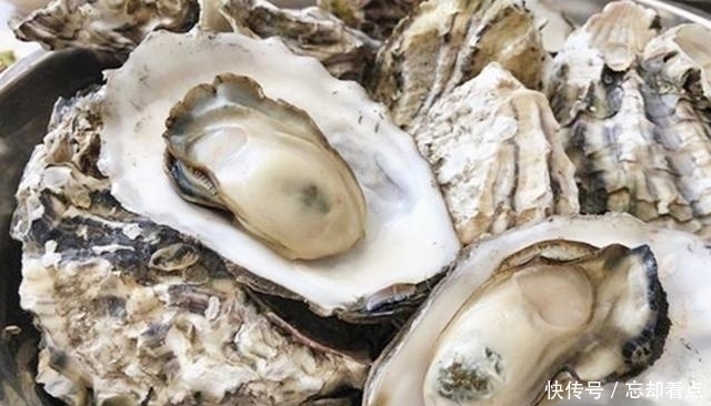 肉质|煮生蚝时,直接下锅大错特错!海边人如此做,煮出的生蚝又鲜又嫩