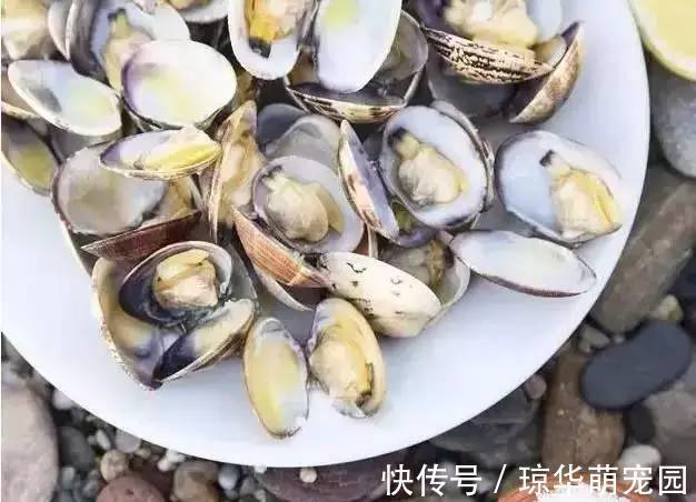 数据线|有了这36个生活窍门,生活都机智起来了!