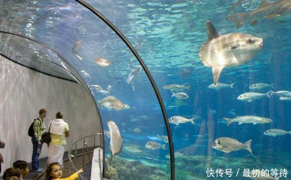 全球10大海洋馆 上海海洋水族馆上榜 你去过游玩过吗 快资讯