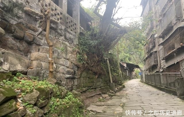 泸州|一叶一如来,千叶宝莲街,泸州茶马古道遗迹探秘